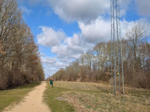 8 person holiday home in Oksbøl-By Traum