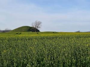 4 person holiday home in Martofte