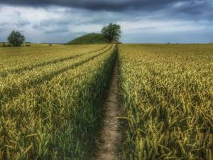 4 person holiday home in Martofte