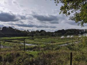 4 person holiday home in Hovborg-By Traum