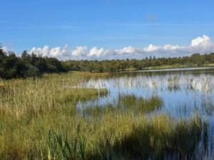 4 star holiday home in Ansager