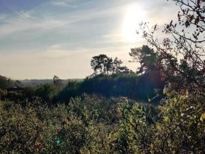 4 person holiday home in Nykøbing Sj-By Traum