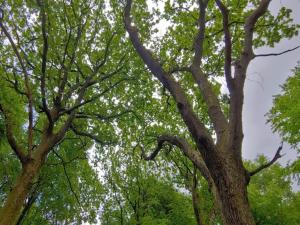 6 person holiday home in Oksbøl-By Traum