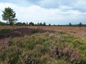 Charming Retreat in Sydjylland - By Traum Ferienwohnungen