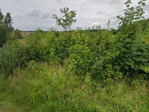 4 person holiday home in Ansager