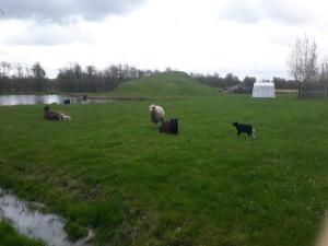 4 person holiday home in Ansager