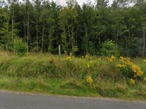 4 person holiday home in Ansager