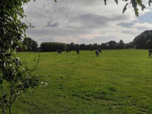 4 person holiday home in Ansager