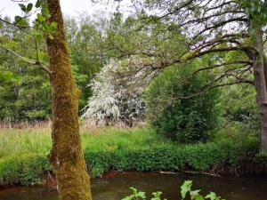 4 person holiday home in Ansager