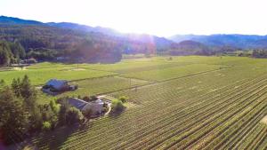 Wine Country Retreat Zinfandel Lane Villa