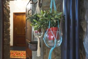 Historic Sillico Relais Hot Tub, Sauna e Charme