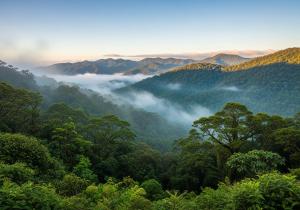 Orchid Lodge Monteverde