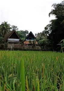 D'Bulan bungalows and kafe