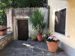 Holiday home in Verscio with swimming pool