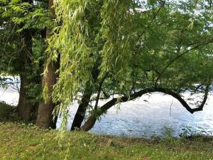 Holiday apartment with 2 bedrooms