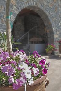Kalo Nero Apartments Lasithi Greece