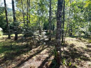 collico lodge kilometro 4 relun