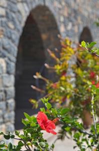 Kalo Nero Apartments