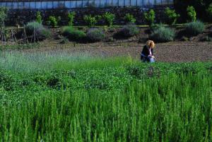 Agriturismo Coppi Rossi