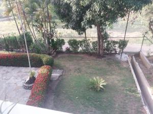 Tropical Optimal Tropicana Sur