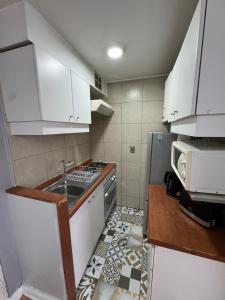 Departamento Santiago Centro Barrio Bellas Artes