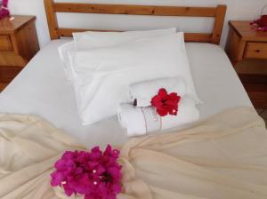 Arian Hotel Paros Greece