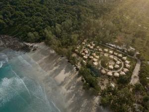 The Survival by Seudam