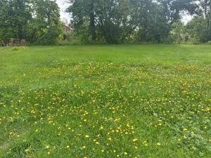 Mökki joen rannalla Pudasjärvellä