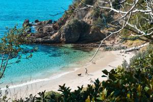 Nobby's Escape - Stunning Coastal Home - Ubytování bez kategorie ve městě Port Macquarie