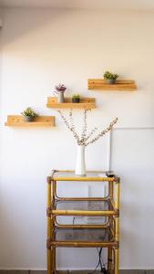 Aguamarina Paraiso 2