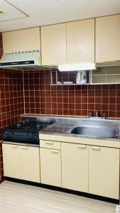 Endless Mitsui Minami 5jo II - Vacation STAY 18384