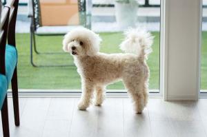 Tabinoteitaku Y-beach - Vacation STAY 91093v