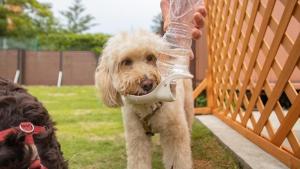 Gramercy Village Lake Yamanaka Glamping & Sauna - Vacation STAY 92834v