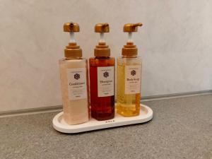 Aikawa Kashiya - Vacation STAY 18463