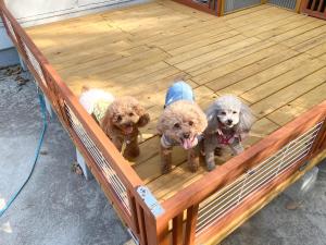 Hyuga Surf Camp 105 - Vacation STAY 29665v