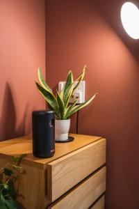 Dream Asunaro 101 - Vacation STAY 18549