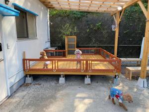 Hyuga Surf Camp106 - Vacation STAY 29716v