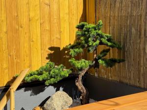 Aoba Aotoku - Vacation STAY 18767