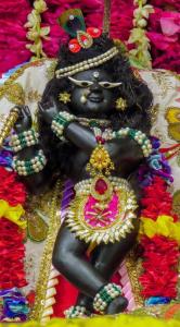 Hotel The Gold Regency