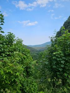 Bienvenue chez jacquou Chambre dhote cher lhabitant