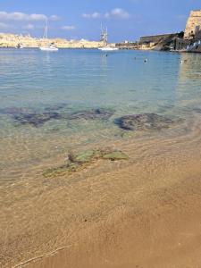 Historical Apartment in Bormla