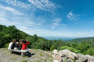 Yamaboushi - Vacation STAY 84128v