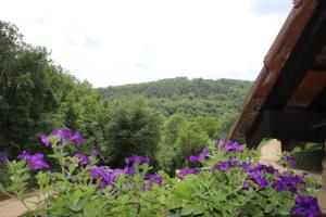 Le Coustal