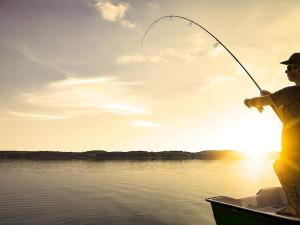 6 person holiday home in SÄLEN-By Traum