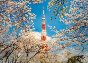 東京都心完全貸切 映画室池袋電車6分新宿渋谷直通WiFI 長期OK WAGAMAMA小竹向原FUJI 101室