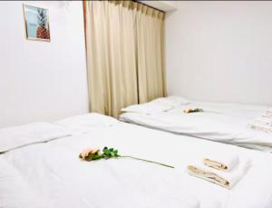 東京都心完全貸切 映画室池袋電車6分新宿渋谷直通WiFI 長期OK WAGAMAMA小竹向原FUJI 101室