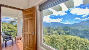 Misty Munnar Cliff Heaven