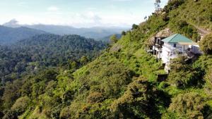 Misty Munnar Cliff Heaven