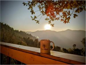 Tree Nest Resort by Vianara