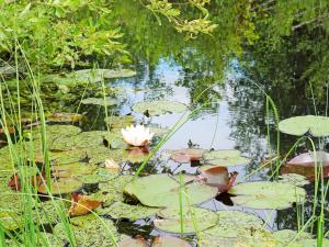 5 person holiday home in TINGSRYD-By Traum